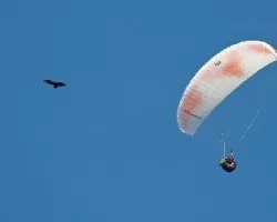 Aprovechando el viento