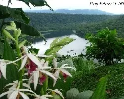 laguna hule2
