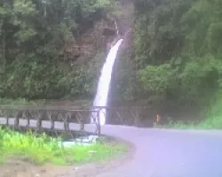 EL ANGEL 
