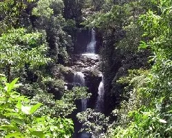 cascada 