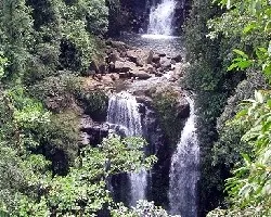 catarata rara aviz