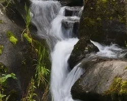 Entre rocas