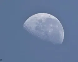 Luna en la mañana