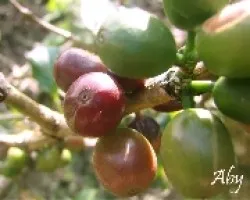 En la orilla 