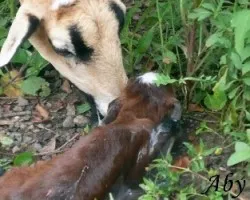 Madre e hijo 