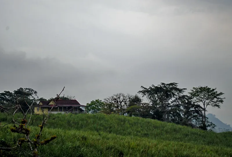 Foto