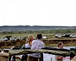 Turistas