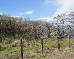 La fuerza del viento