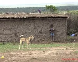Poblado Masai