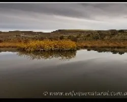 Laguna de estepa