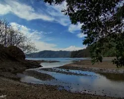 Estero Playa Negra