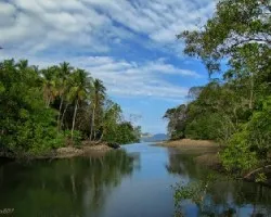 Estero Curú