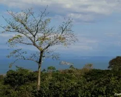 Admirando el Golfo