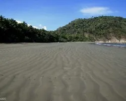 En las Arenas de Curú