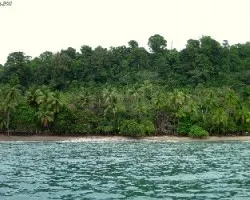 San Josecito