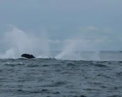Splash !