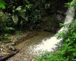 Un Rincón que Oxigena