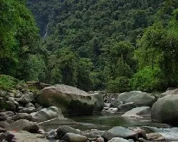 Junto al Río en Tapantí