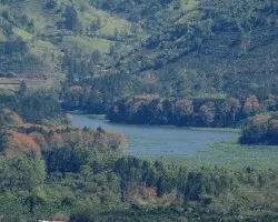 Cachí de Colores