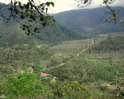 El Camino a Tapantí