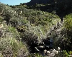 Talari: Agua de las Alturas