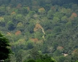 Caminos de la Angelina