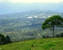 Campiña Azucarera