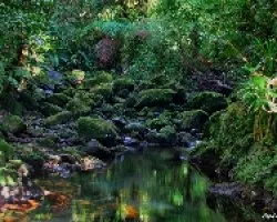 Fluyendo al Patria
