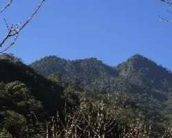 El Tres Picos