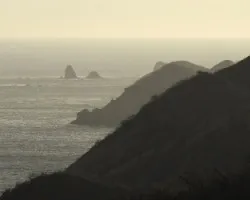 Las Murciélagos : de Perfil