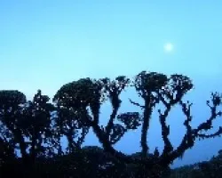 Amanecer con Luna