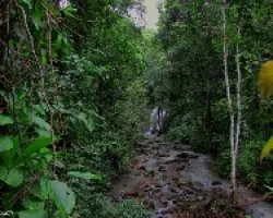Una Catarata Escondida