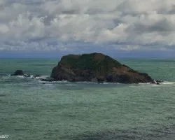 Isla Olocuita