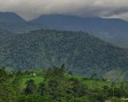 Las Mesas