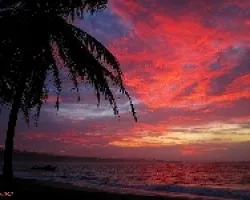 Tarde en Manzanillo