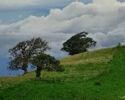Pastos y Nubes
