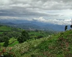 Desde un Volcán Dormido