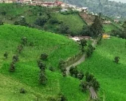 Camino a San Pablo