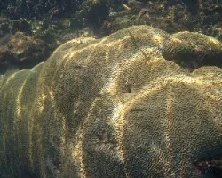 Laberintos Marinos