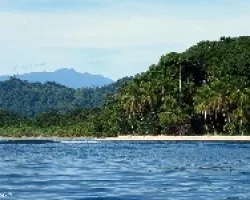El Kámuk y el Caribe