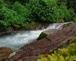 Junto al Chirripó Pacífico