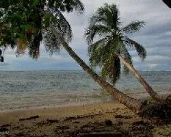 Tarde Caribeña