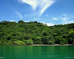 Verdes de Papagayo