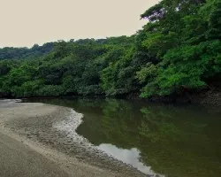 Estero Iguanita