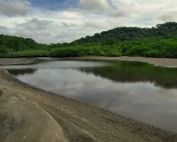 Estero Iguanita2