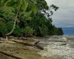 Caribe Sur