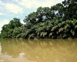 Canal Jalova