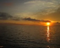 Inicia un Día en el Golfo
