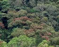 Colores de Montaña
