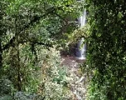 En un Rinconcito del Lajas